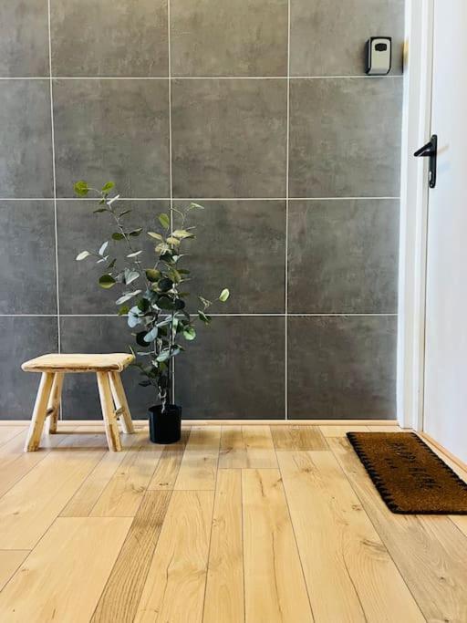Studio Girafe, Style Boheme Et Atypique, Curistes Luxeuil-les-Bains Exterior foto
